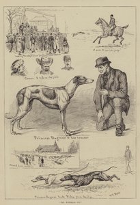 The Waterloo Cup